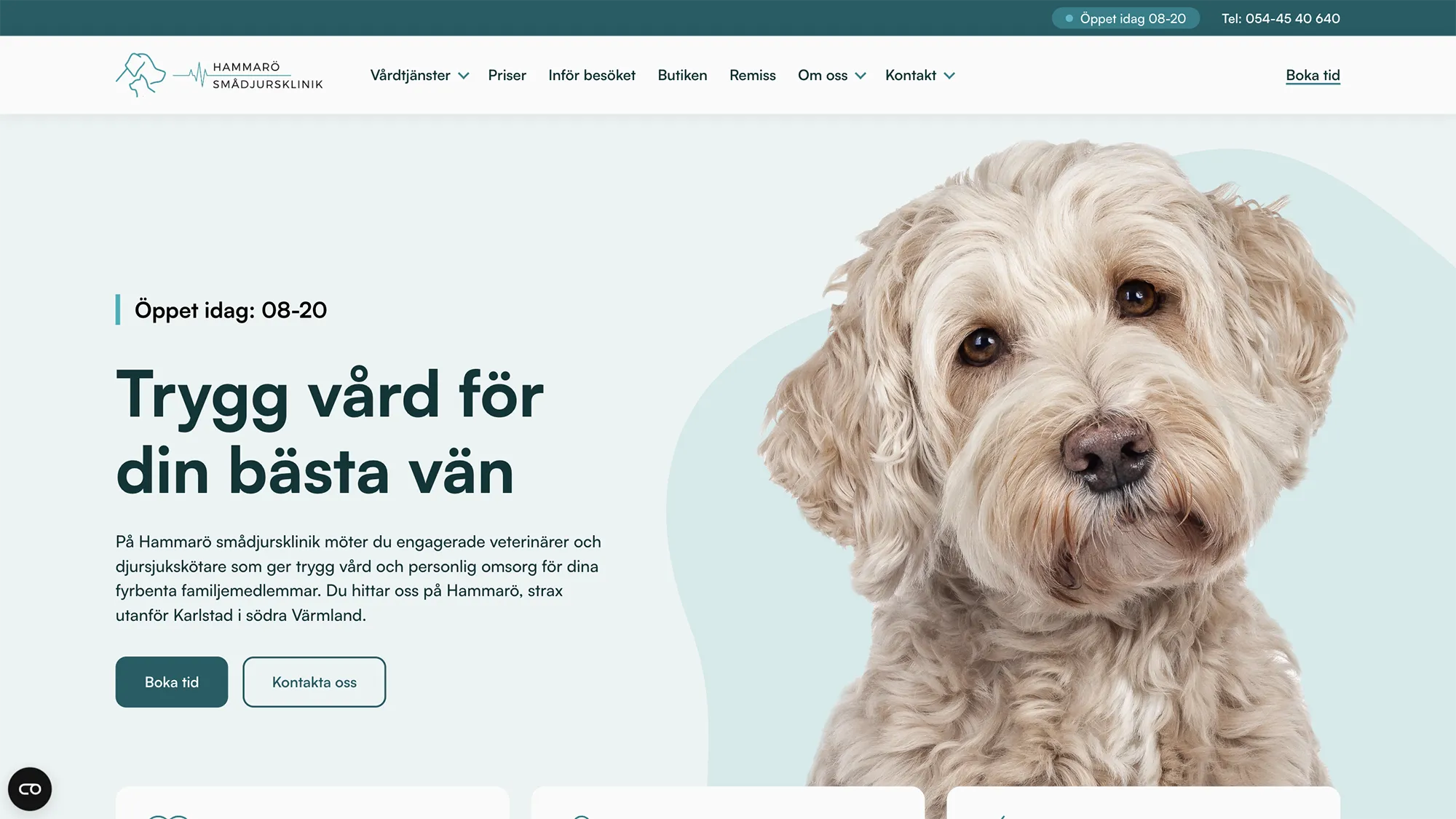 Skärmavbild på startsidan på Hammarö Smådjursklinik. På hemsidan visas text till vänster och en stor bild på en hund till höger, färgerna går i blå/grönt.